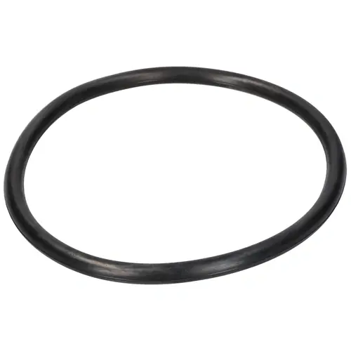 Eredeti Tömítés (eredeti, szűrőház ) ZANUSSI mosogatógéphez