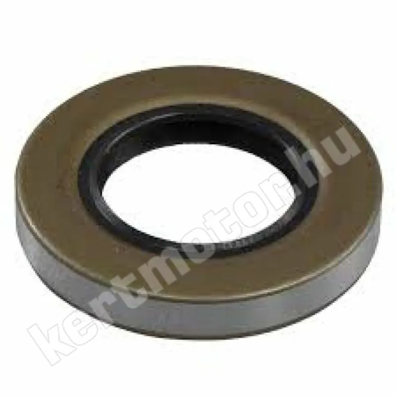 Kiárusítás Briggs vízszintes tengelyű szimering 19,5x41.3