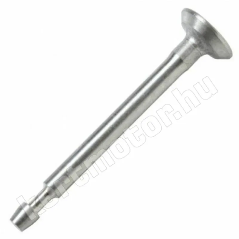 Vedd meg most Briggs 3,5 HP szívószelep