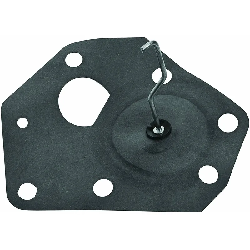 Ajánlat Briggs membrán 3,5le