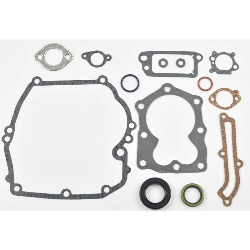 Briggs Quantum tömítéskészlet Vedd meg most