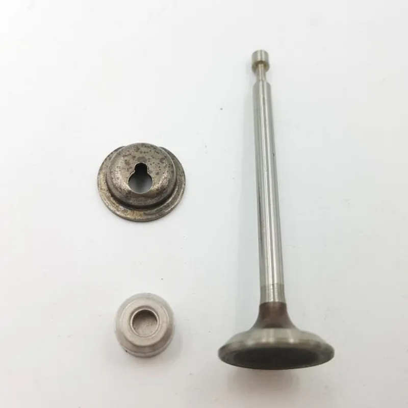 Alacsony ár Kipifogó szelep Briggs 08P502