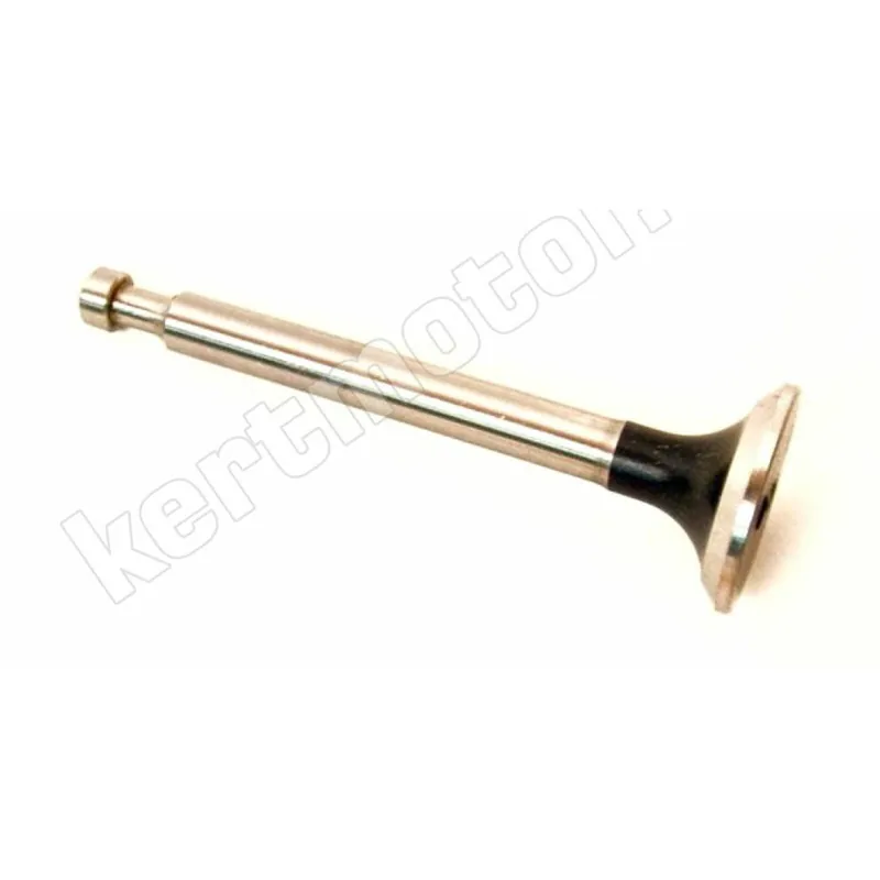 Olcsó Honda G200 - F600 szívószelep