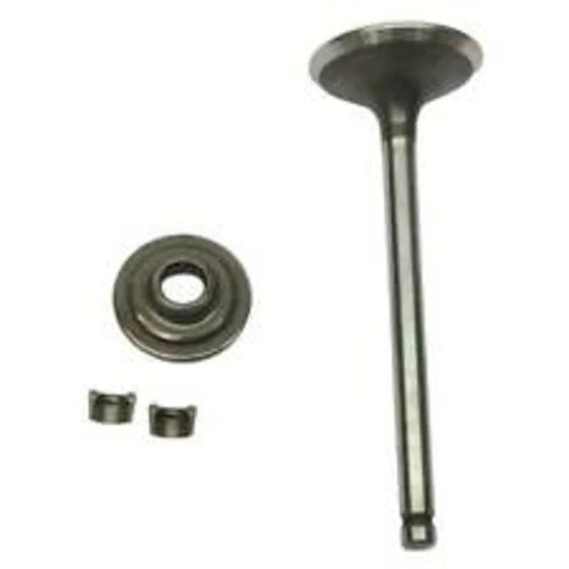 Korlátozott ajánlat Briggs kipufogó szelep