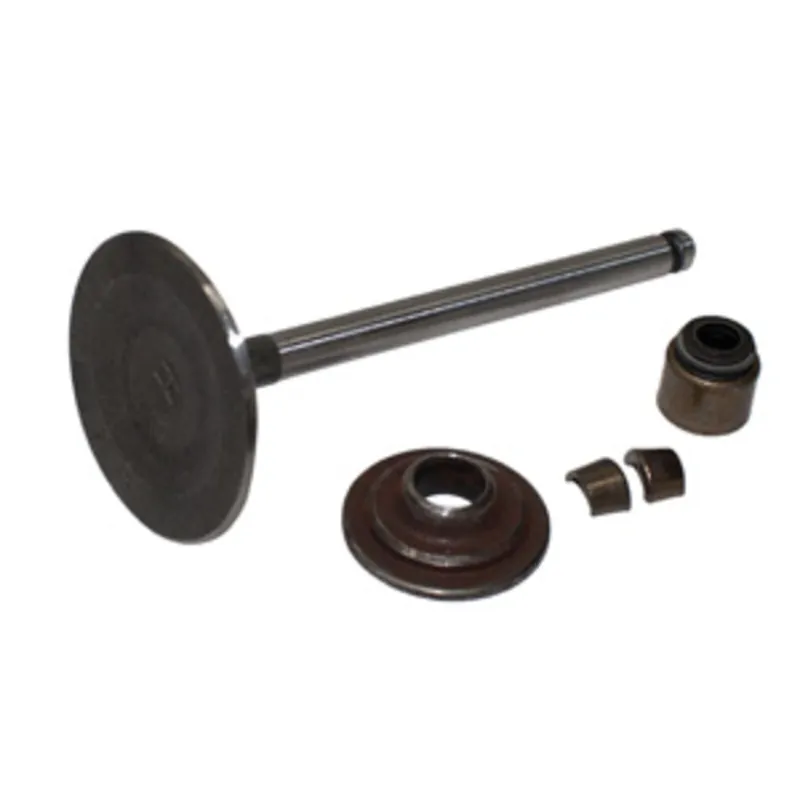 Expressz szállítás Szelep szívó Briggs Intek I/C