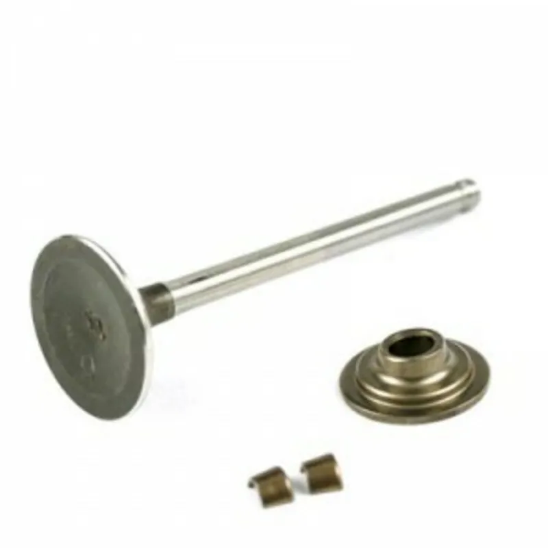 Vedd meg most Briggs 13,5 LE kipufogó szelep